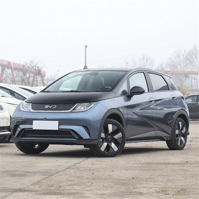 BYD DOLPHIN EV