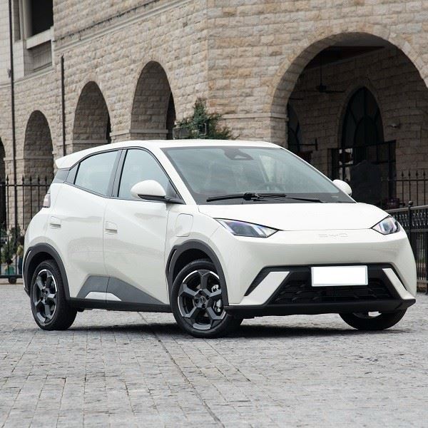 SEAGULL Models And Prices 2025