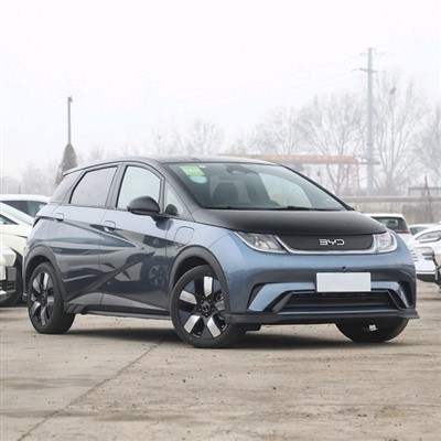 Dolffin EV Mini Fforddiadwy